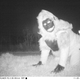 Illustration for article titled Police set up camera to record wildlife, capture shithead teens instead